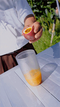 百香果粒.gif
