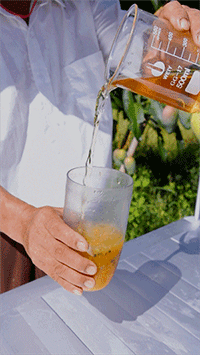 茉莉綠茶.gif